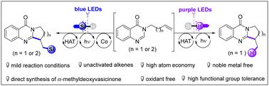 Graphical abstract: Visible-light-induced selective hydrolipocyclization and silylation of alkenes: access to ring-fused quinazolin-4(3H)-ones and their silicon-substituted derivatives