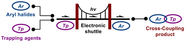 Graphical abstract: Photoinduced cross-coupling of aryl halides enabled by n-tetrabutylphosphonium phthalate