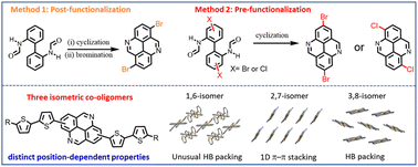 Graphical abstract: Isomeric diazapyrene–thiophene conjugated systems: synthesis, characterization, and transport properties