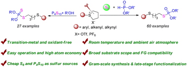 Graphical abstract: Synthesis of S-alkyl phosphorothioates/phosphorodithioates via ring-opening reaction of sulfonium salts with S8, H-phosphonates or P4S10, and alcohols