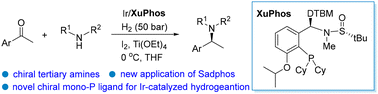 Graphical abstract: Ir/XuPhos-catalyzed direct asymmetric reductive amination of ketones with secondary amines