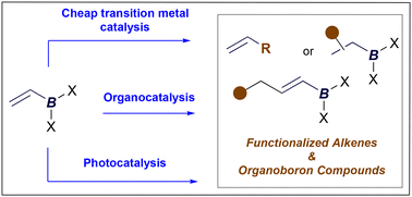 Graphical abstract: The reactivity of alkenyl boron reagents in catalytic reactions: recent advances and perspectives