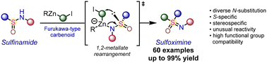 Graphical abstract: S-Alkylation of sulfinamides with Zn-carbenoids: expanding stereoselective sulfoximine synthesis beyond NH derivatives