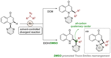 Graphical abstract: Solvent-controlled catalytic divergent C–H alkylation of quinolones driven by unusual DMSO-promoted 1,3-heteroarene migration