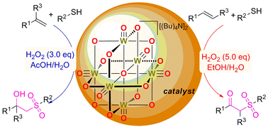 Graphical abstract: Modular synthesis of β-oxygen-containing sulfones from alkenes through hexatungstate-catalyzed cascade hydroxysulfenylation/selective oxidation