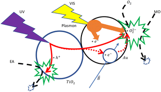 Graphical abstract: Effects of external light in the magnetic field-modulated photocatalytic reactions in a microfluidic chip reactor