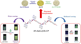 Graphical abstract: Luminescence turn-on sensor for the selective detection of trace water and methanol based on a Zn(ii) coordination polymer with 2,5-dihydroxyterephthalate