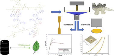 Graphical abstract: Multiscale mechanical characterization of biobased photopolymers towards sustainable vat polymerization 3D printing