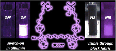 Graphical abstract: Switch-on near infrared emission in albumin behind dark fabric: toward application in forensic latent bloodstain detection