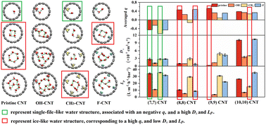 Graphical abstract: Finely tuned water structure and transport in functionalized carbon nanotube membranes during desalination