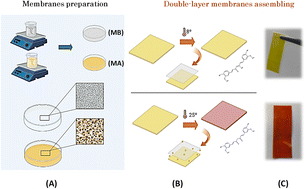Graphical abstract: Irreversible colorimetric bio-based curcumin bilayer membranes for smart food packaging temperature control applications