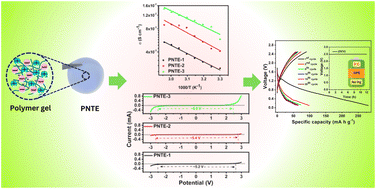Graphical abstract: A sodium ion conducting gel polymer electrolyte with counterbalance between 1-ethyl-3-methylimidazolium tetrafluoroborate and tetra ethylene glycol dimethyl ether for electrochemical applications