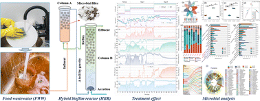 Graphical abstract: Food wastewater treatment using a hybrid biofilm reactor: nutrient removal performance and functional microorganisms on filler biofilm and suspended sludge