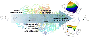Graphical abstract: Cascade enzymatic synthesis of a statin side chain precursor – the role of reaction engineering in process optimization