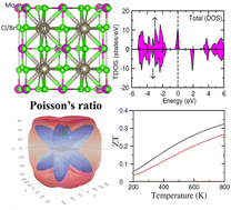 Graphical abstract: Investigation of half metallic properties of Tl2Mo(Cl/Br)6 double perovskites for spintronic devices
