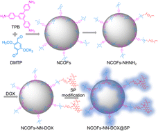 Graphical abstract: Hydrazone-functionalized nanoscale covalent organic frameworks as a nanocarrier for pH-responsive drug delivery enhanced anticancer activity