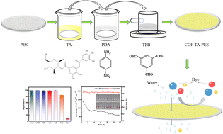 Graphical abstract: Tannin-assisted interfacial polymerization towards COF membranes for efficient dye separation