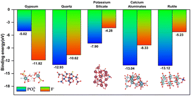 Graphical abstract: Study on the occurrence state of main components of phosphogypsum dihydrate and its impurity distribution