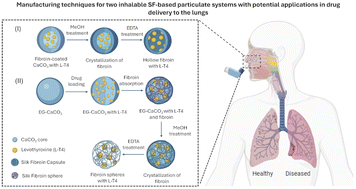 Graphical abstract: Inhalable drug-loaded silk fibroin carriers for pulmonary drug delivery