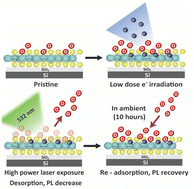 Graphical abstract: Formation of oxygen protective layer on monolayer MoS2 via low energy electron irradiation