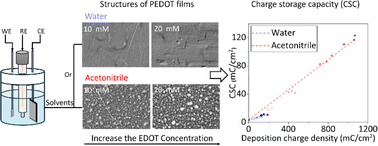 Graphical abstract: Influences of solvents and monomer concentrations on the electrochemical performance and structural properties of electrodeposited PEDOT films: a comparative study in water and acetonitrile