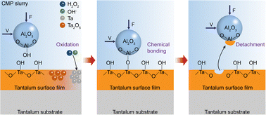 Graphical abstract: Interaction mechanism of Al2O3 abrasive in tantalum chemical mechanical polishing