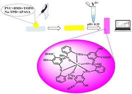 Graphical abstract: The highly selective green colorimetric detection of yttrium ions in biological and environmental samples using the synergistic effect in an optical sensor