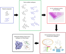Graphical abstract: Thymol and carvacrol derivatives as anticancer agents; synthesis, in vitro activity, and computational analysis of biological targets