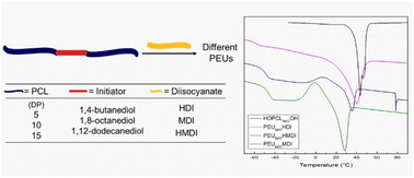Graphical abstract: Synthesis and characterization of macrodiols and non-segmented poly(ester-urethanes) (PEUs) derived from α,ω-hydroxy telechelic poly(ε-caprolactone) (HOPCLOH): effect of initiator, degree of polymerization, and diisocyanate