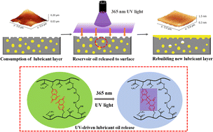 Graphical abstract: UV-driven self-replenishing liquid-infused surface with promising anti-algal adhesion performance