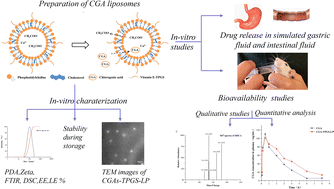 Graphical abstract: Fabrication and characterization of TPGS-modified chlorogenic acid liposomes and its bioavailability in rats