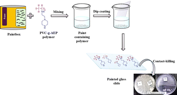Graphical abstract: Development and evaluation of antimicrobial PVC-grafted polymer for enhanced paint applications