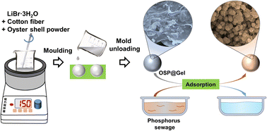 Graphical abstract: Oyster shell powder-loaded cellulose gel beads as a high-efficiency adsorbent for phosphorus recovery: preparation, kinetics, isotherms and thermodynamic studies