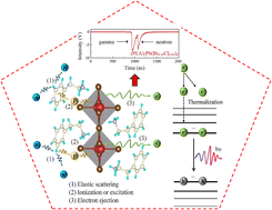 Graphical abstract: Characterization of Cl-doped two-dimensional (PEA)2PbBr4 perovskite single crystals for fast neutron and gamma ray detection