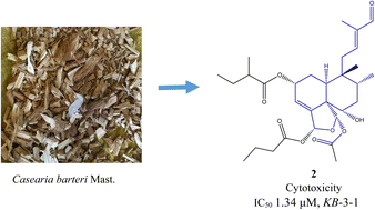 Graphical abstract: Cytotoxic clerodane diterpenoids from the roots of Casearia barteri Mast.