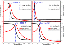 Graphical abstract: Large magnetic anisotropy and enhanced Curie temperature in two-dimensional MnTe2 coupled with β-phase group-VA semiconductor monolayers
