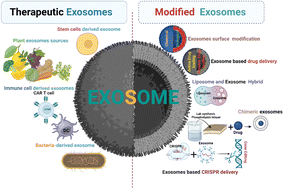 Graphical abstract: Landscape of exosomes to modified exosomes: a state of the art in cancer therapy