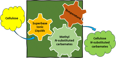 Graphical abstract: Cellulose carbamates via transcarbamoylation/transurethanization of methyl carbamates in superbase–acid conjugate ionic liquids