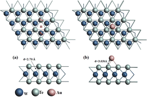 Graphical abstract: Pristine and aurum-decorated tungsten ditellurides as sensing materials for VOCs detection in exhaled human breath: DFT analysis
