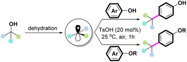 Graphical abstract: TsOH-catalyzed dehydroxylative cross-coupling of alcohols with phenols: rapid access to propofol derivatives