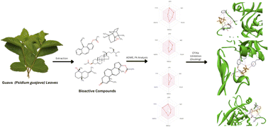 Graphical abstract: Docking-based computational analysis of guava (Psidium guajava) leaves derived bioactive compounds as a coagulation factor IXa inhibitor