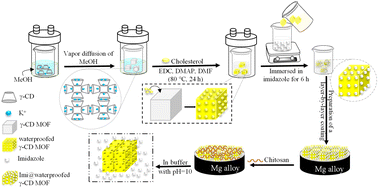 Graphical abstract: Chitosan-ImH@γ-CD: a pH-sensitive smart bio-coating to enhance the corrosion resistance of magnesium alloys in bio-implants