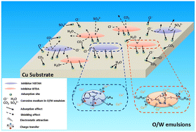 Graphical abstract: Enhancing the corrosion inhibition of copper sheets in oil-in-water (O/W) emulsions by combining two organic heterocyclic derivatives