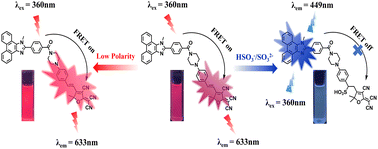 Graphical abstract: A dual-response fluorescence sensor for SO2 derivatives and polarity and its application in real water and food samples
