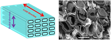 Graphical abstract: Thermal control materials of carbon/SiO2 composites with a honeycomb structure