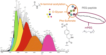 Graphical abstract: Intact quantitation and evaluation of a PEG-glycosulfopeptide as a therapeutic P-selectin antagonist