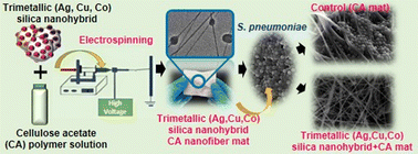 Graphical abstract: Synergistic antimicrobial nanofiber membranes based on metal incorporated silica nanoparticles as advanced antimicrobial layers