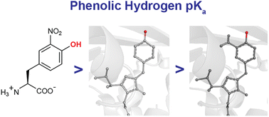Graphical abstract: Modulating the pH dependent photophysical properties of green fluorescent protein