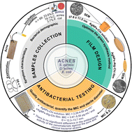 Graphical abstract: Antibacterial efficacy of low-dosage silver nanoparticle–sodium alginate–chitosan nanocomposite films against pure and clinical acne strains