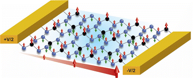 Graphical abstract: Anisotropic half-metallicity in zigzag edge SiP3 nanoribbons